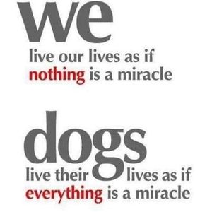 Meet your Posher, Christy